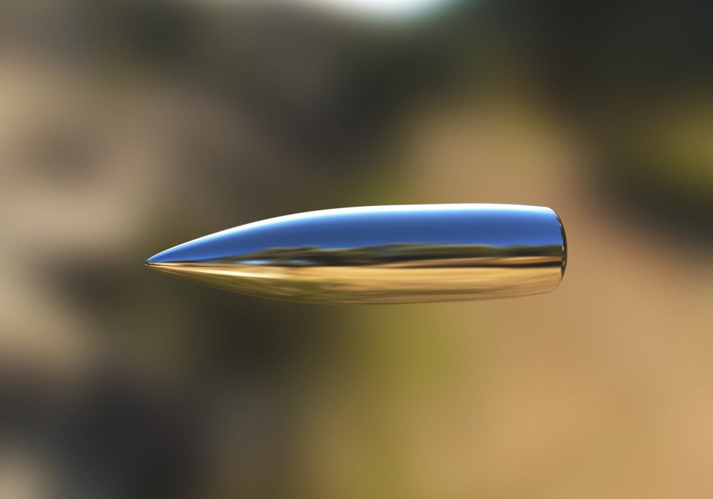 ts29 bullet